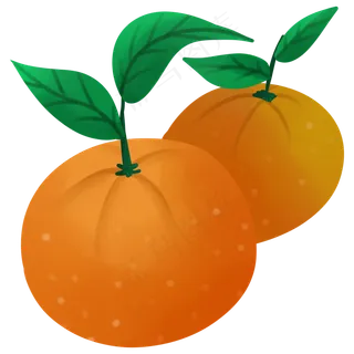 桔子味道水果植物种植橘色生长