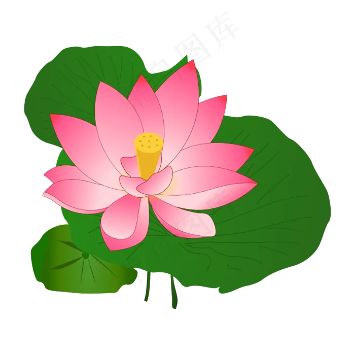手绘卡通粉色荷花(4167*4167px 300 dpi )ai矢量模版下载
