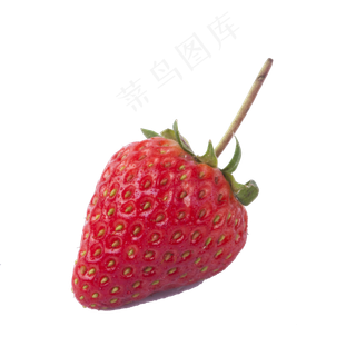 一颗熟了的红草莓免扣图,免抠元素