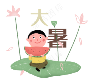 大暑节气二十四节气荷花荷叶