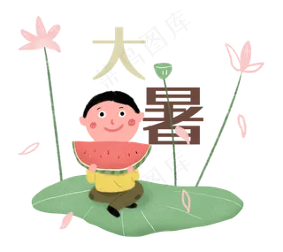 大暑节气二十四节气荷花荷叶