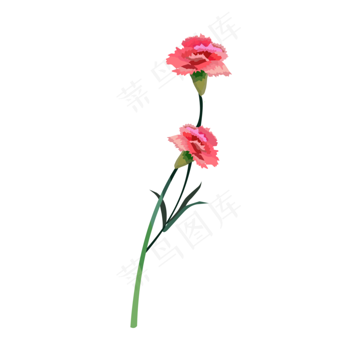 两朵手绘母亲节康乃馨免抠素材(2000*2000px 300 dpi )ai矢量模版下载