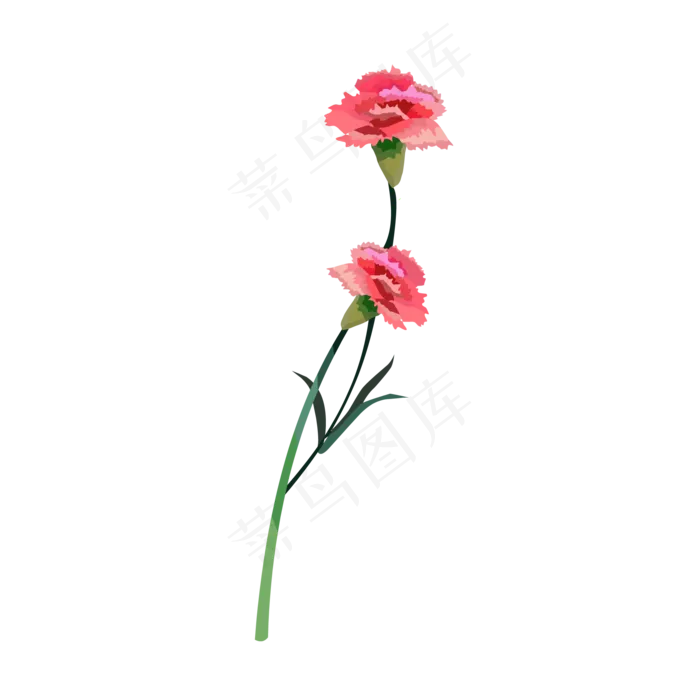 两朵手绘母亲节康乃馨免抠素材(2000*2000px 300 dpi )ai矢量模版下载