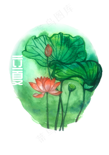 夏日节气荷花莲花农历PNG