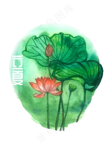 夏日节气荷花莲花农历PNG 夏日节气荷花莲花农历PNG
