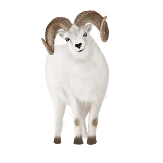 可爱动物白色山羊,免抠元素