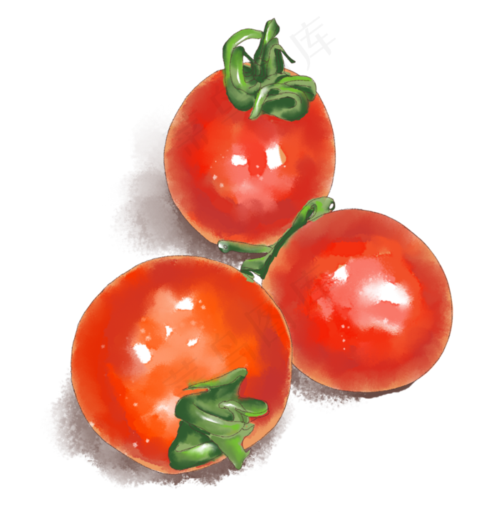 水彩小清新水果大红色小番茄
