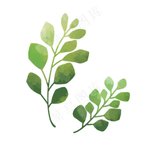 手绘水彩绿植装饰