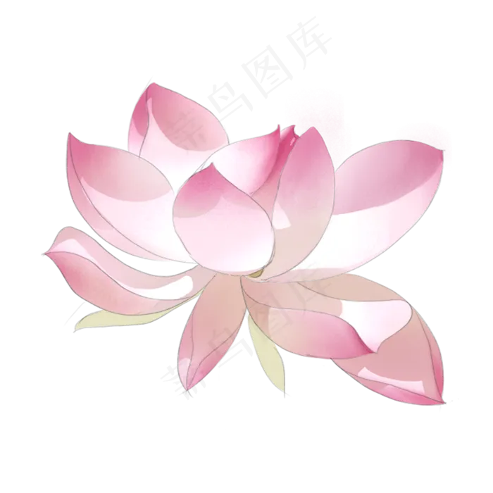 夏天夏日夏荷唯美粉色白色花瓣自(2000X2000(DPI:72))psd模版下载
