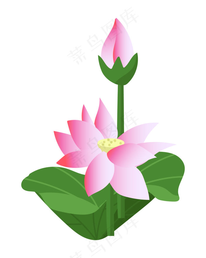 两朵精美的粉色荷花(2000*2500px 300 dpi )ai矢量模版下载