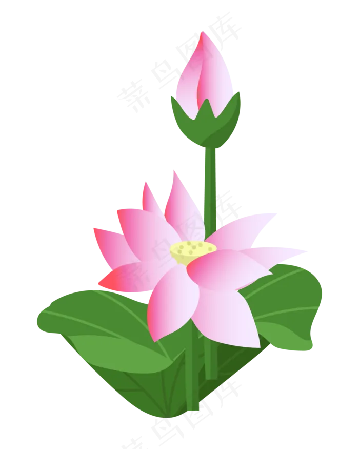 两朵精美的粉色荷花(2000*2500px 300 dpi )ai矢量模版下载