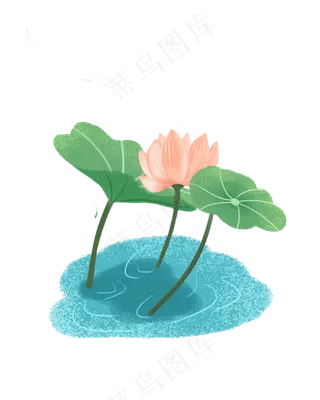 夏季荷花水池素材