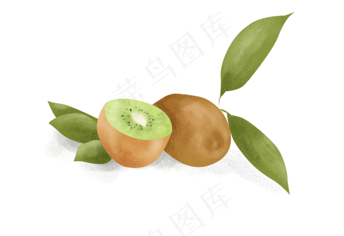 暑假夏日夏季水果猕猴桃