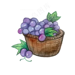 夏日水果葡萄提子鲜美可爱PNG