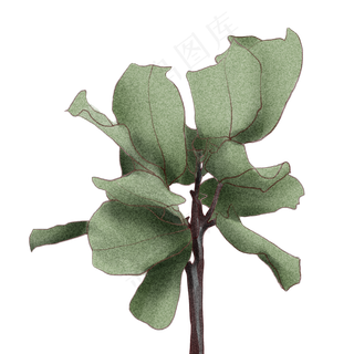 24节气树叶处暑商用元素