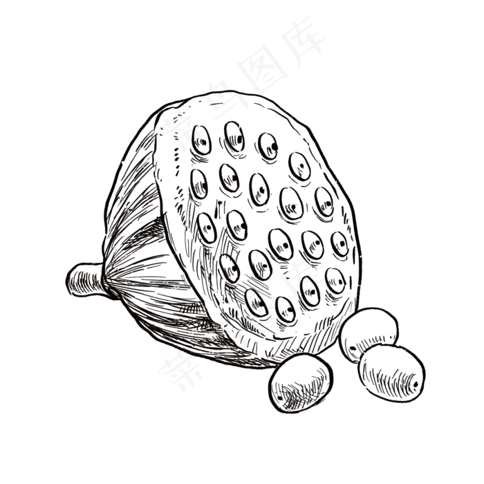 食物黑白线描线稿25(2048X2048(DPI:300))psd模版下载