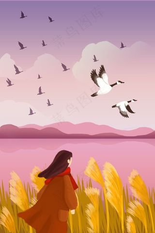 寒露时节大雁南飞