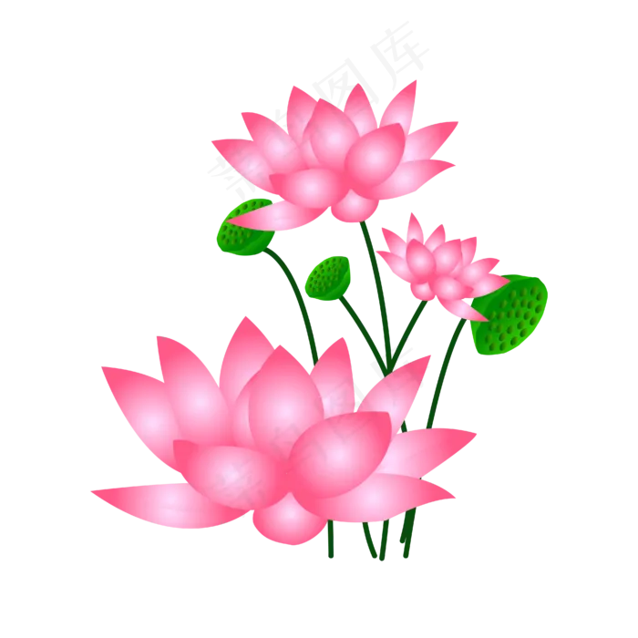 池塘粉色荷花(4167*4167px 300 dpi )ai矢量模版下载