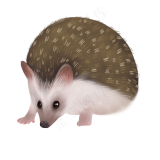 可爱宠物刺猬萌,免抠元素