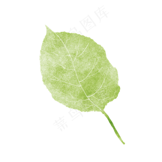 春天绿色水彩树叶