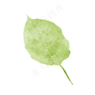 春天绿色水彩树叶