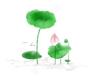 手绘水彩清明节荷花装饰素材