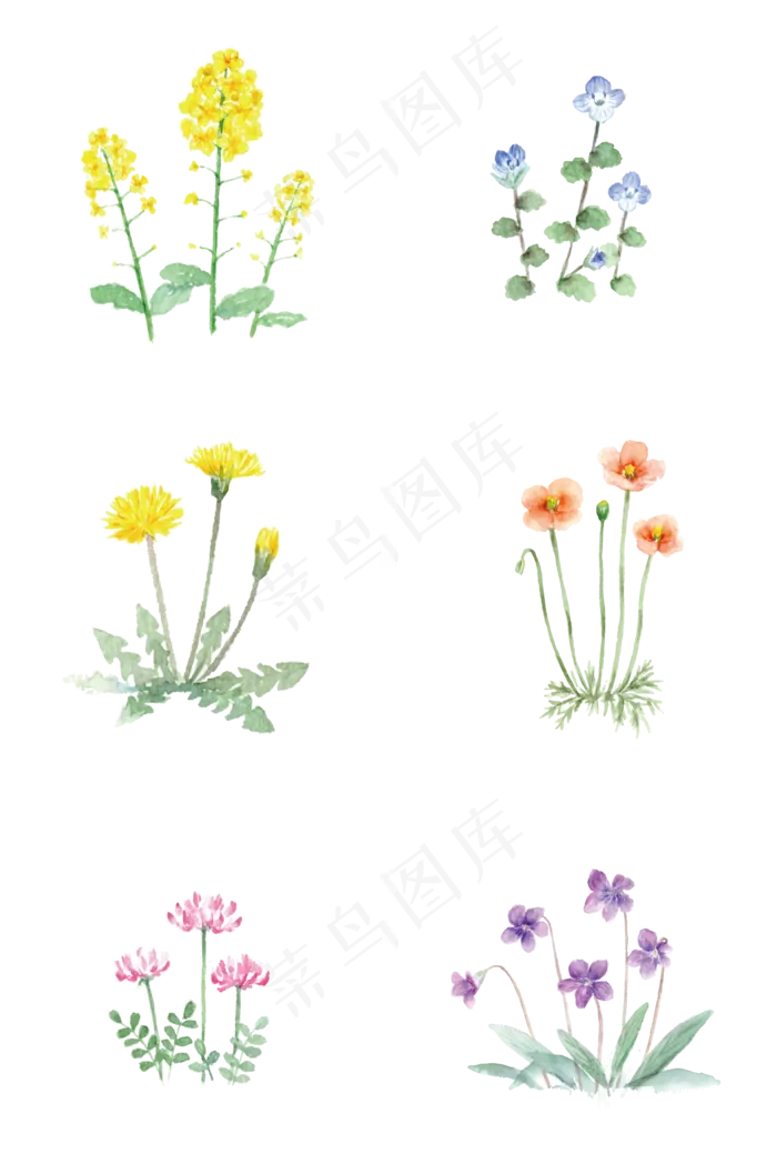 通用节日多彩卡通手绘花朵,免抠元素(2000*3020px 300 dpi )ai矢量模版下载