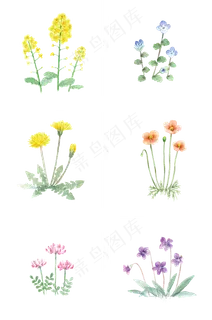 通用节日多彩卡通手绘花朵,免抠元素