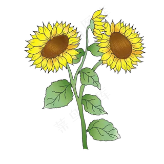 向日葵花卉向日葵向日葵
