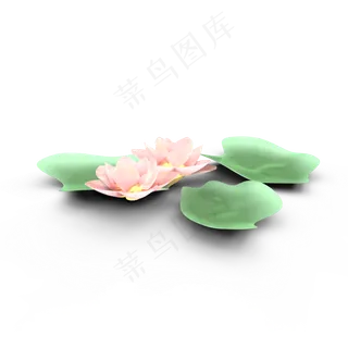 c4d夏天荷花粉