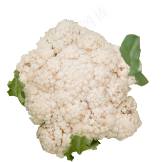 一棵新鲜的椰菜花,免抠元素