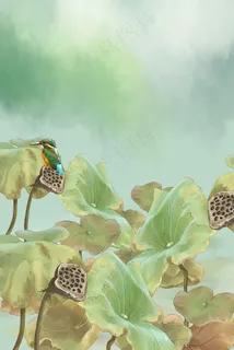 国画秋季荷塘寒露霜降节气风景