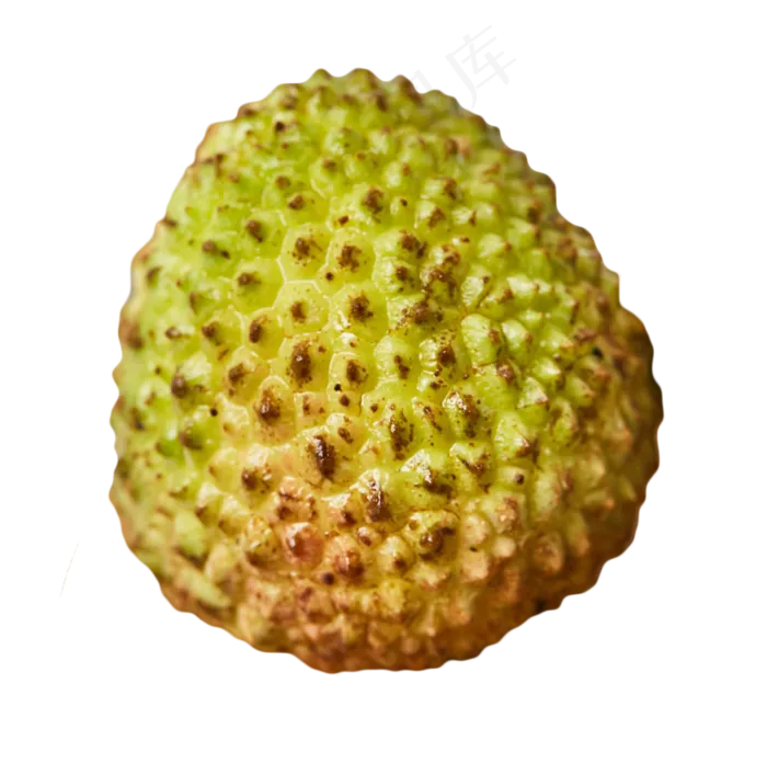 水果荔枝(1258X1251(DPI:300))psd模版下载