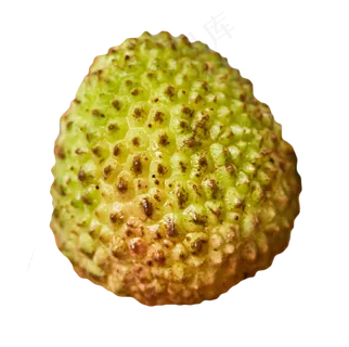 水果荔枝