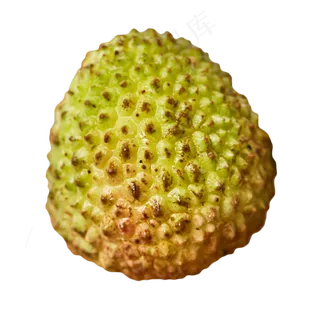 水果荔枝