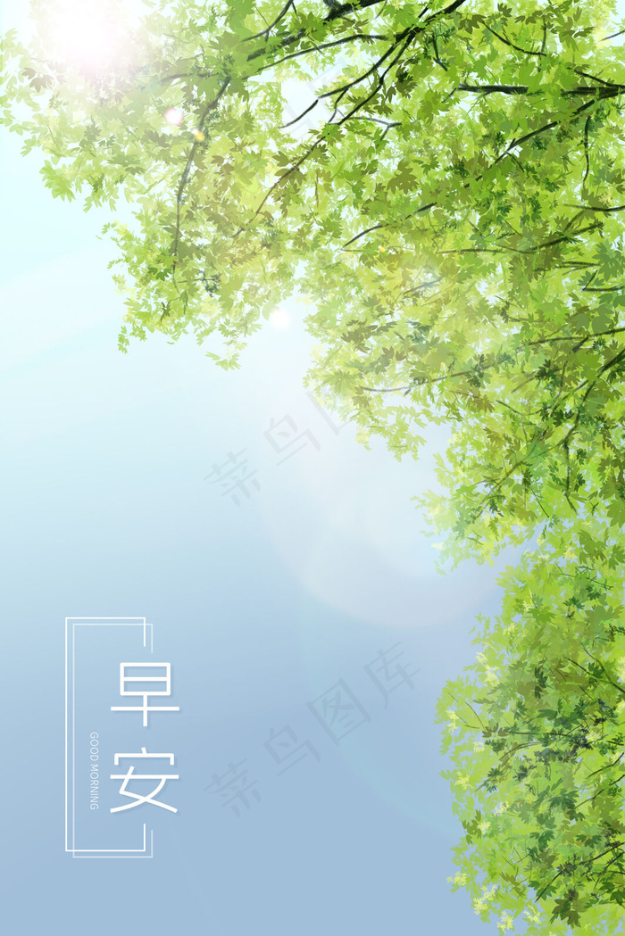 问候早安树叶阳光(3545*5315px 300 dpi )psd模版下载