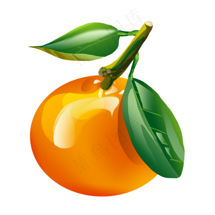 水果橙子橘子插画