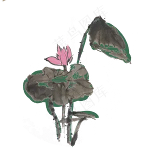 夏季水墨荷花手绘素材