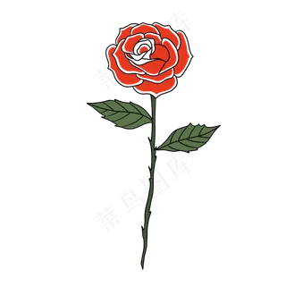 一朵颜色很红的玫瑰