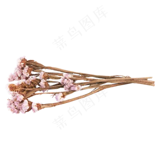 粉色干花