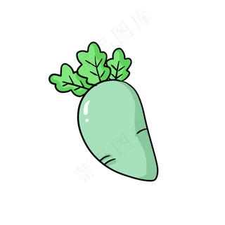 绿叶葱葱的圆润青萝卜