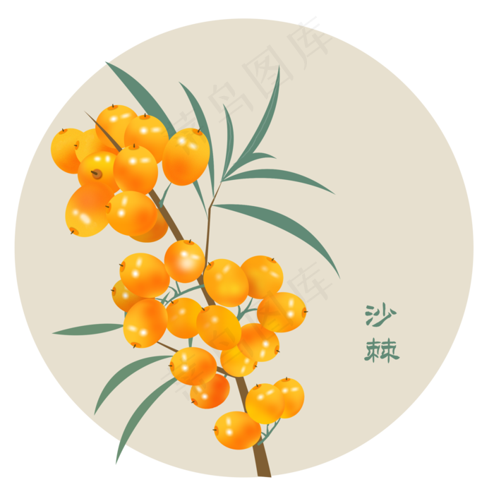 黄色的沙棘(2000X2000(DPI:300))psd模版下载