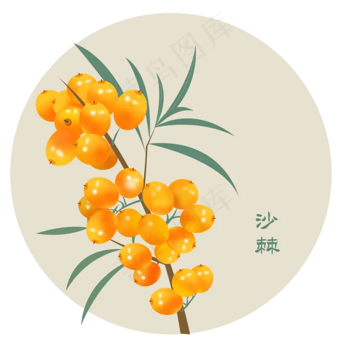黄色的沙棘(2000X2000(DPI:300))psd模版下载