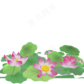 绿色的池塘荷叶免抠图