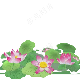 绿色的池塘荷叶免抠图