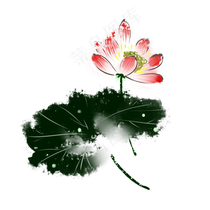 中国风水墨荷花