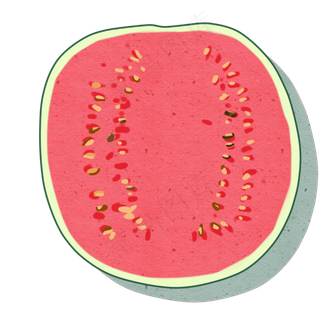 一块切开的西瓜大水果