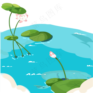 水面上漂亮的荷花