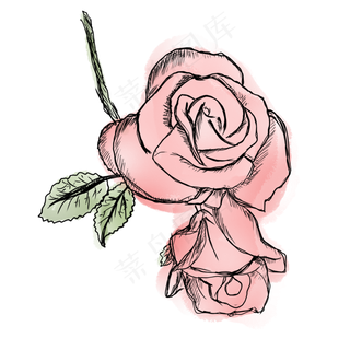 手绘花草复古玫瑰