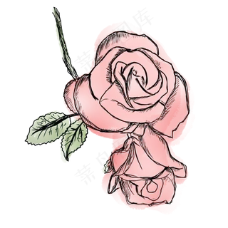 手绘花草复古玫瑰
